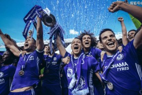 法国杯倒计时,斯图加特转会期强势反弹,细节引发关注,悬念犹存,阵容厚度经受考验的简单介绍